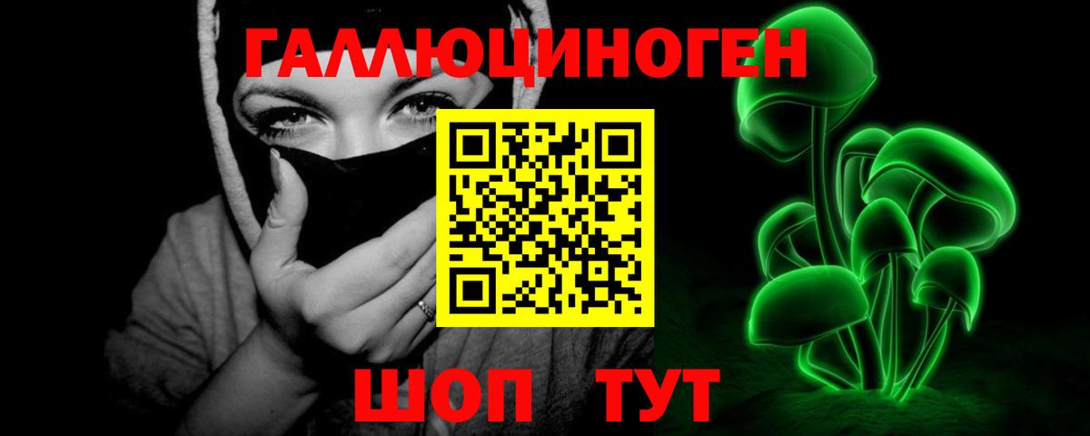 где найти наркотики  Галлюциногенные грибы прущие грибы  Вход с VPN  Хасавюрт 